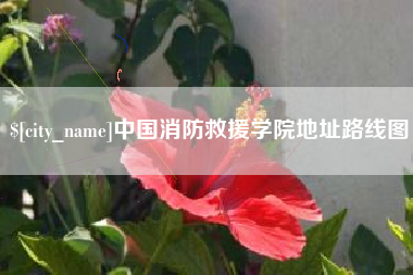 毕节中国消防救援学院地址路线图
