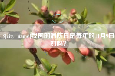 毕节我国的消防日是每年的11月9日对吗？