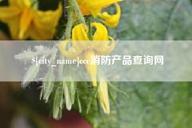 毕节ccc消防产品查询网
