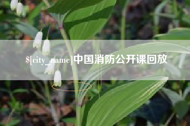 毕节中国消防公开课回放