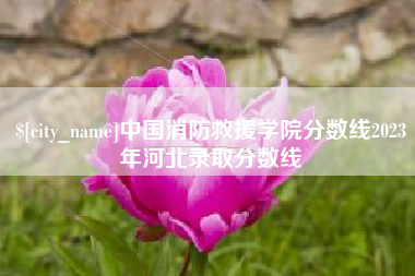 毕节中国消防救援学院分数线2023年河北录取分数线