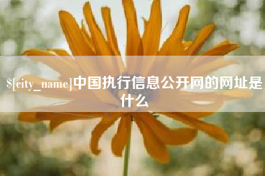 毕节中国执行信息公开网的网址是什么