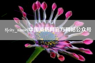 毕节中国消防网官方网站公众号