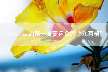 毕节第一波奥运金牌“九宫格”