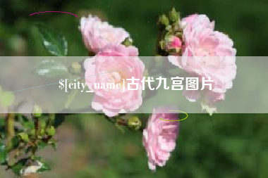 毕节古代九宫图片