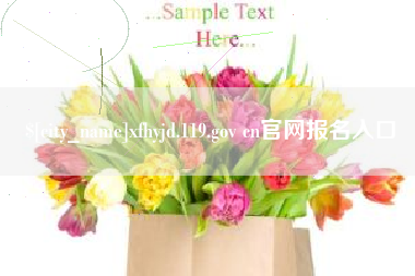 毕节xfhyjd.119.gov cn官网报名入口