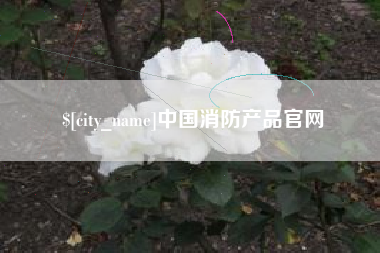 毕节中国消防产品官网