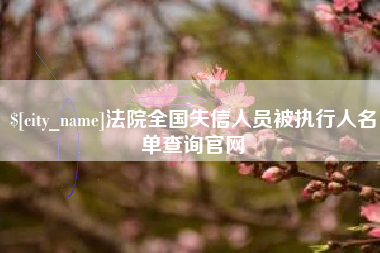 毕节法院全国失信人员被执行人名单查询官网