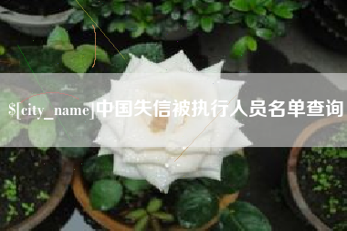 毕节中国失信被执行人员名单查询