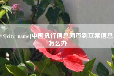 毕节中国执行信息网查到立案信息怎么办