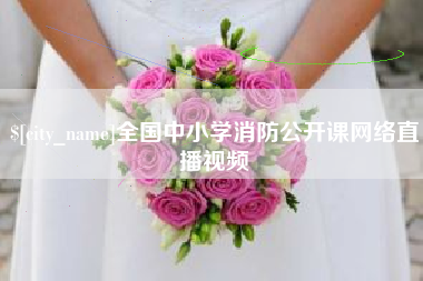 毕节全国中小学消防公开课网络直播视频