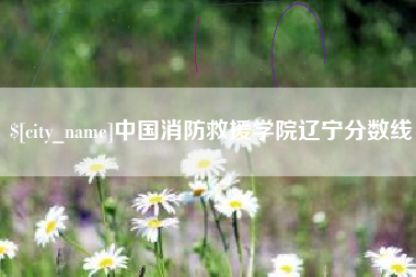 毕节中国消防救援学院辽宁分数线