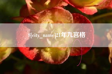 毕节21年九宫格