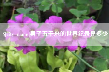 毕节男子五千米的世界纪录是多少