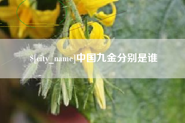 毕节中国九金分别是谁