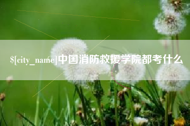毕节中国消防救援学院都考什么
