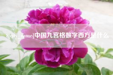 毕节中国九宫格数字西方是什么