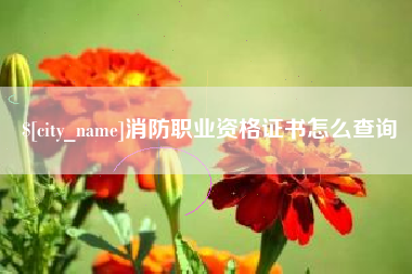 毕节消防职业资格证书怎么查询