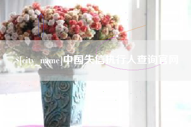 毕节中国失信执行人查询官网