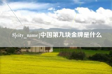 毕节中国第九块金牌是什么