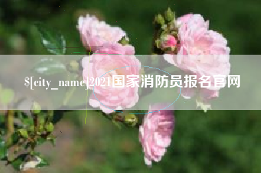 毕节2021国家消防员报名官网
