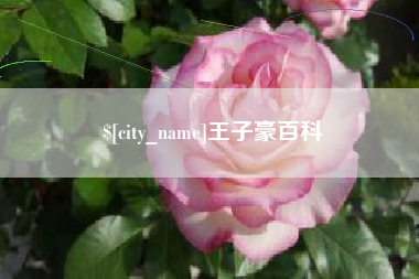 毕节王子豪百科