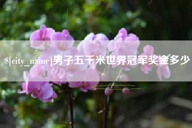毕节男子五千米世界冠军奖金多少