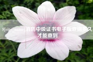 毕节消防中级证书电子版查询多久才能查到
