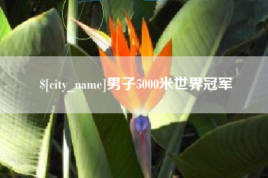 毕节男子5000米世界冠军