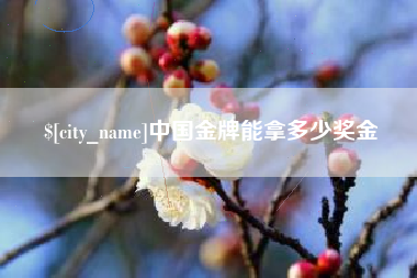 毕节中国金牌能拿多少奖金