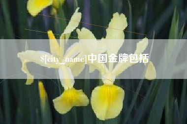 毕节中国金牌包括