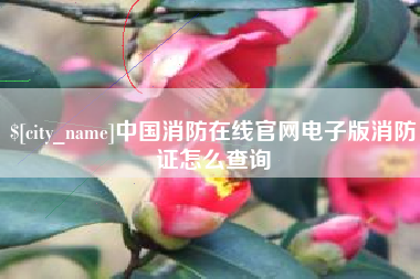 毕节中国消防在线官网电子版消防证怎么查询