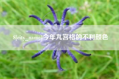 毕节今年九宫格的不利颜色