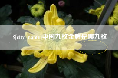 毕节中国九枚金牌是哪九枚