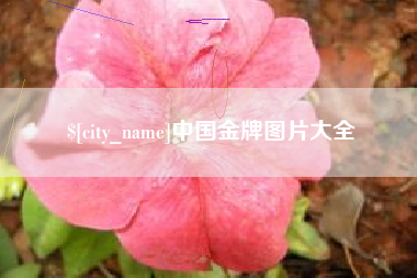 毕节中国金牌图片大全