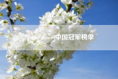 毕节中国冠军榜单