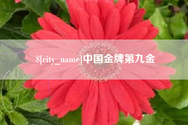 毕节中国金牌第九金