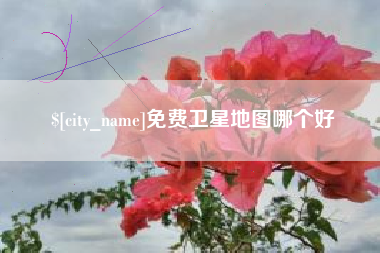 毕节免费卫星地图哪个好