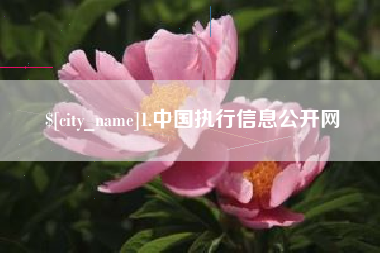 毕节1.中国执行信息公开网