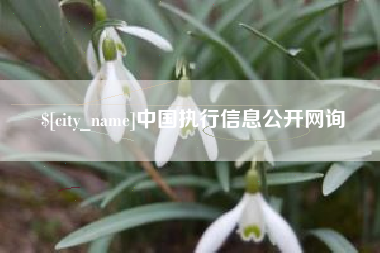 毕节中国执行信息公开网询
