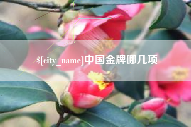 毕节中国金牌哪几项