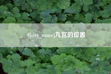 毕节九宫的位置
