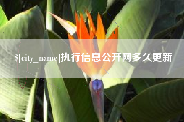毕节执行信息公开网多久更新