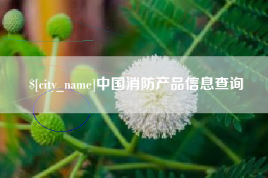 毕节中国消防产品信息查询