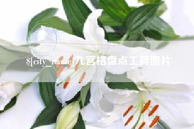 毕节九宫格盘点工具图片