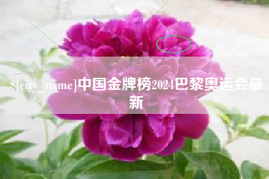 毕节中国金牌榜2024巴黎奥运会最新