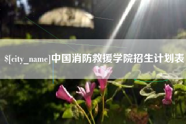 毕节中国消防救援学院招生计划表