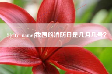 毕节我国的消防日是几月几号？