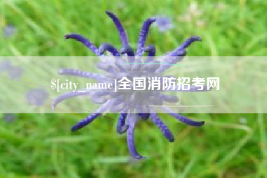 毕节全国消防招考网