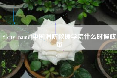 毕节中国消防救援学院什么时候政审